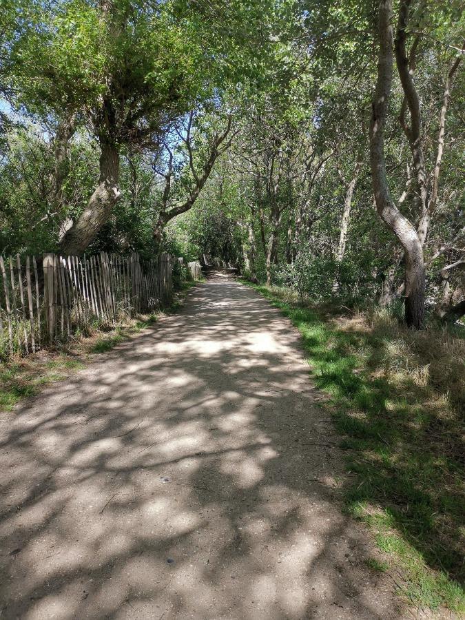 Griad In De Duinen 德哈恩 外观 照片